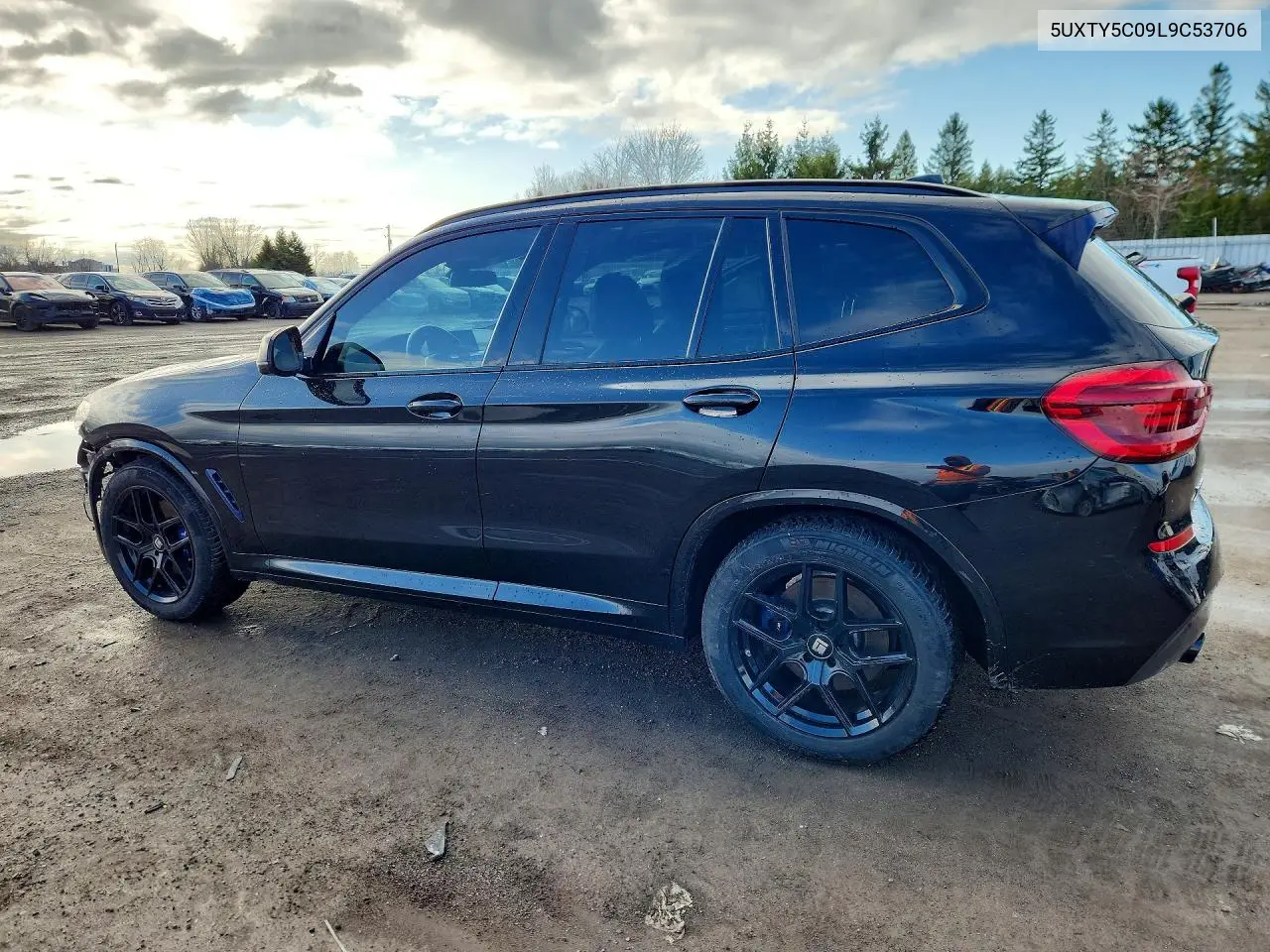 Auction sale of the 2020 BMW X3 , vin: 5UXTY5C09L9C53706, lot number: 50018446
