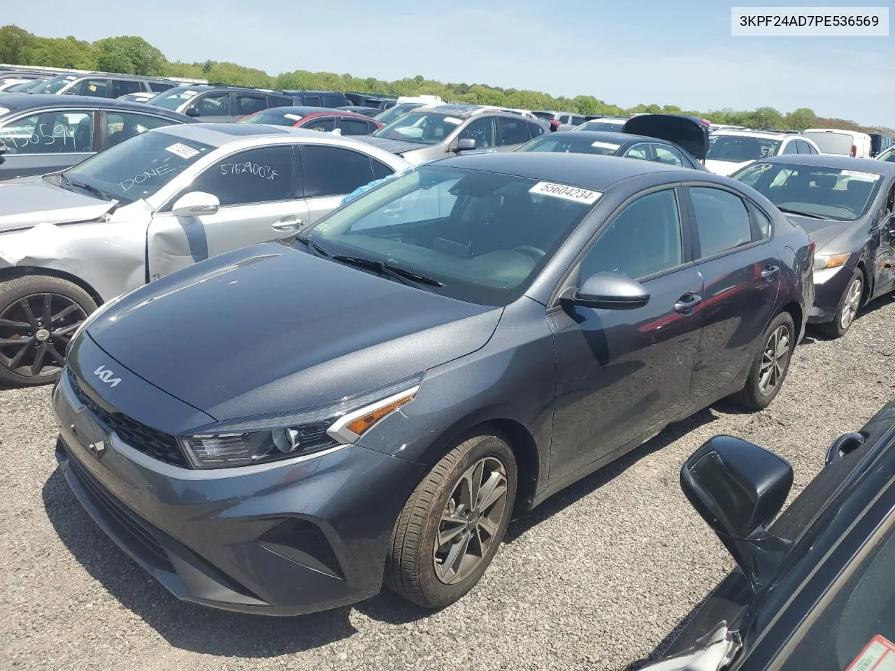 Auction sale of the 2023 Kia Forte , vin: 3KPF24AD7PE536569, lot number: 55604234