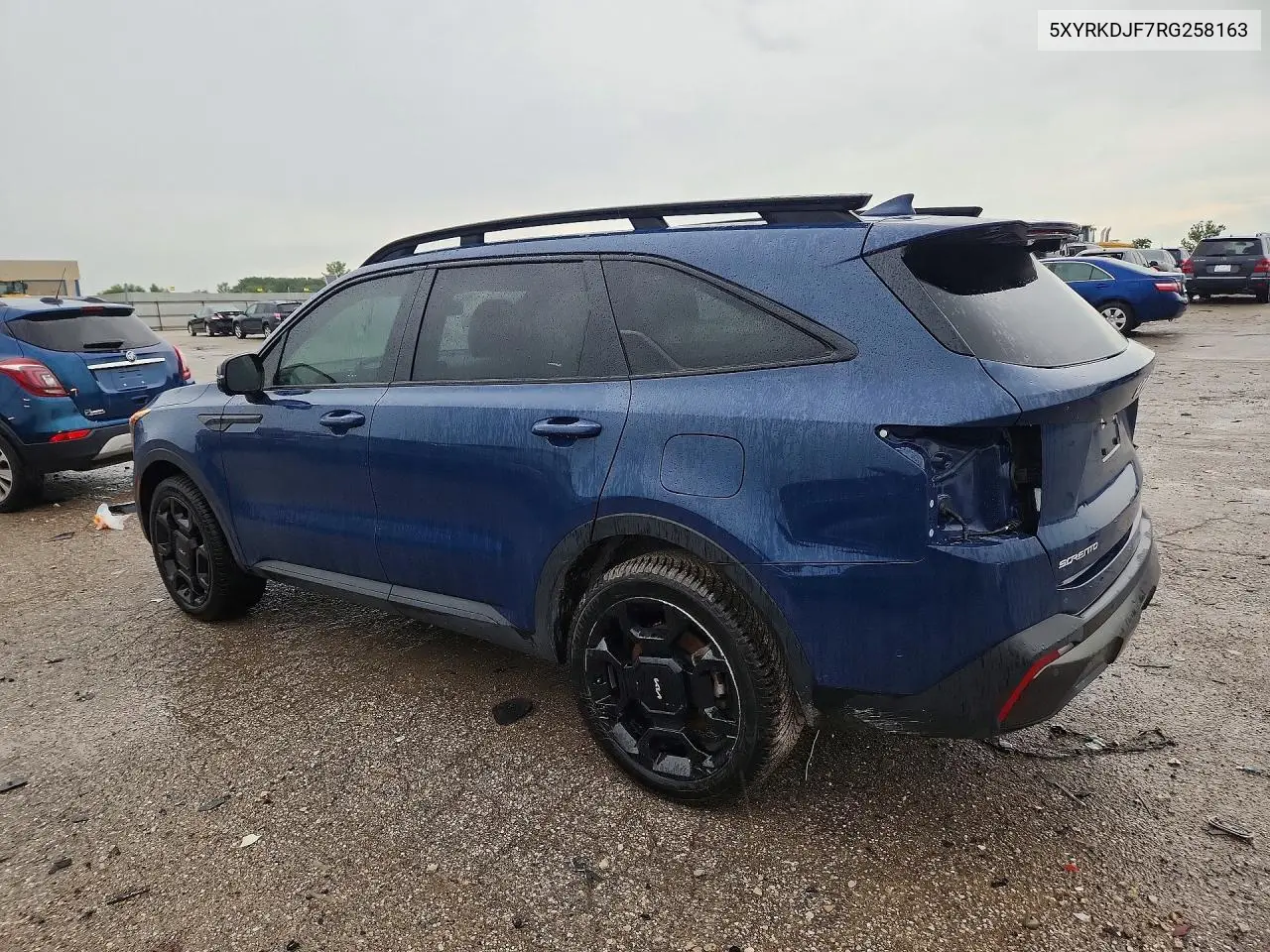 Auction sale of the 2024 Kia Sorento , vin: 5XYRKDJF7RG258163, lot number: 64405726