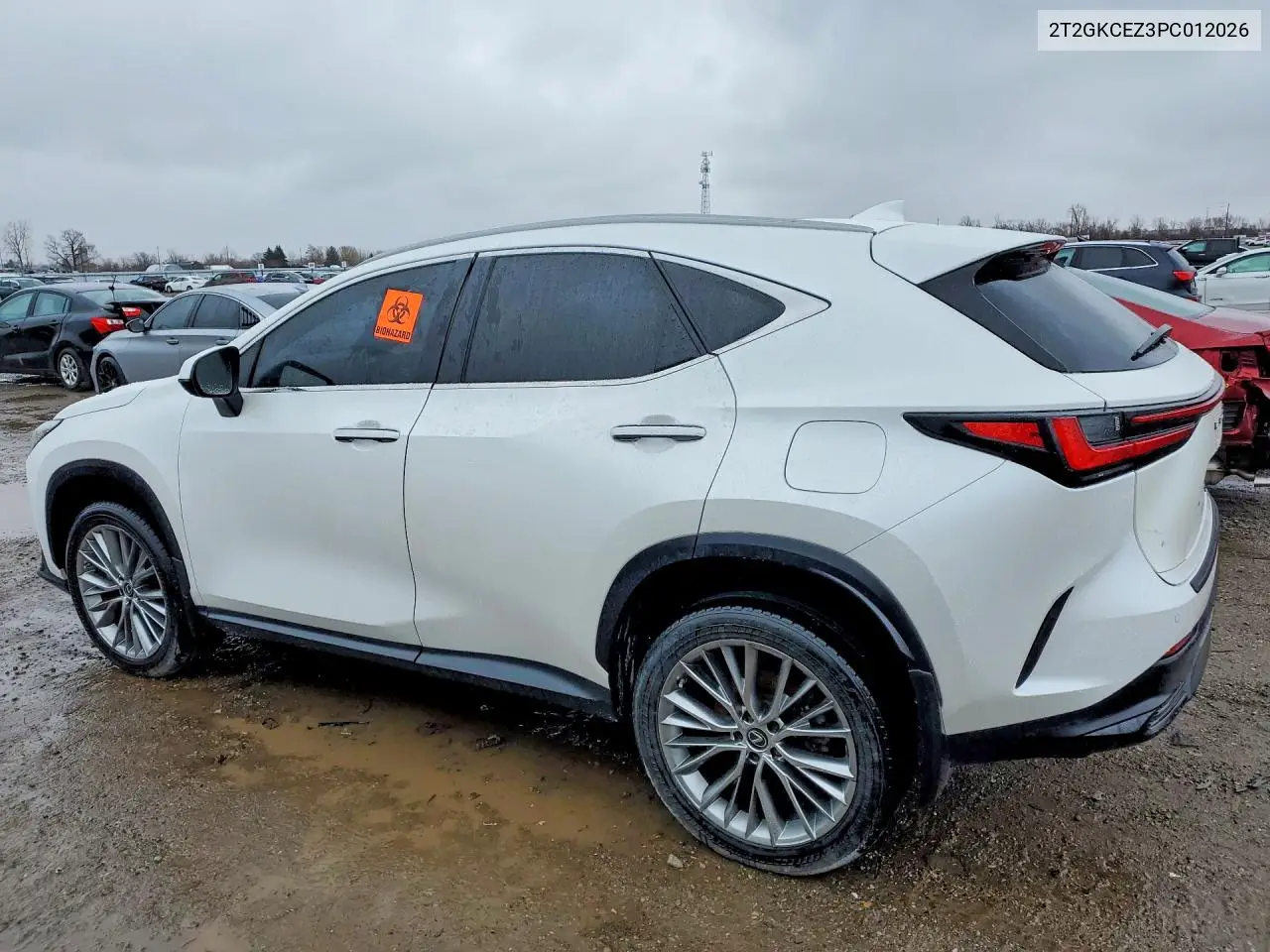Auction sale of the 2023 Lexus NX , vin: 2T2GKCEZ3PC012026, lot number: 79067545
