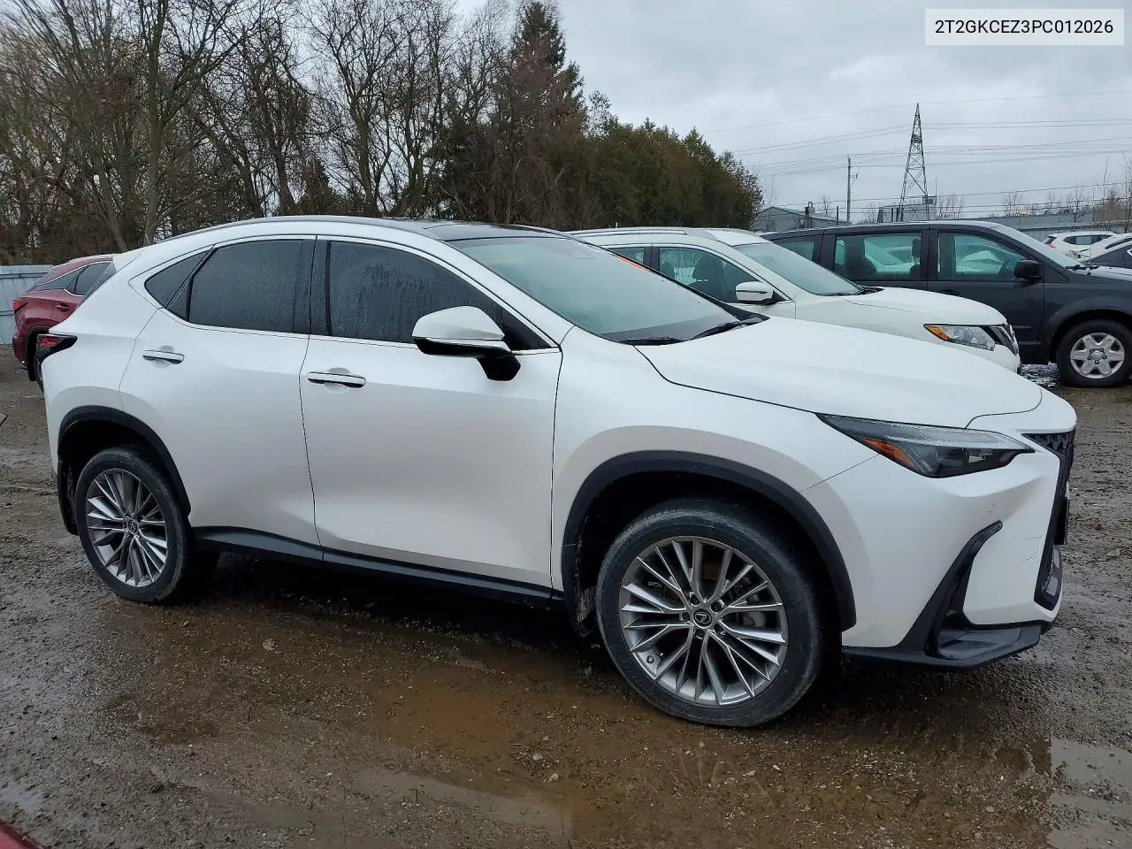 Auction sale of the 2023 Lexus NX , vin: 2T2GKCEZ3PC012026, lot number: 79067545