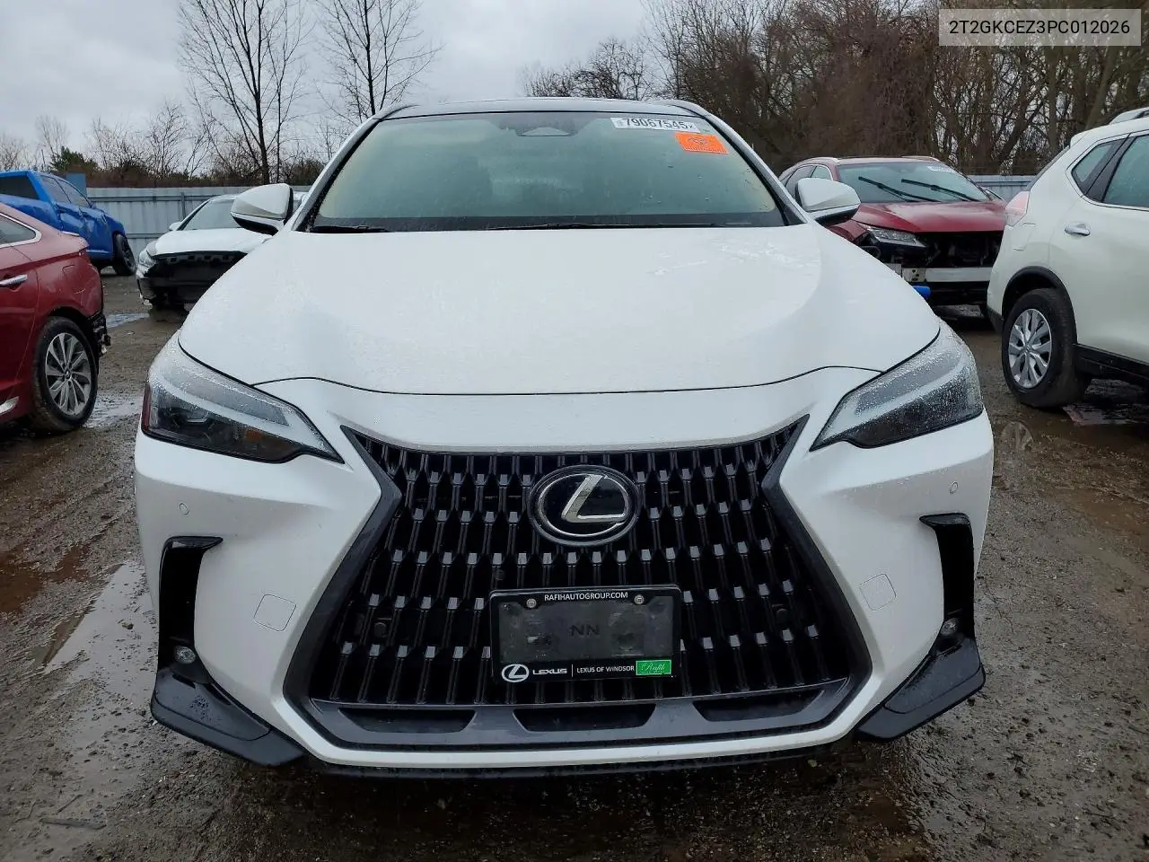 Auction sale of the 2023 Lexus NX , vin: 2T2GKCEZ3PC012026, lot number: 79067545