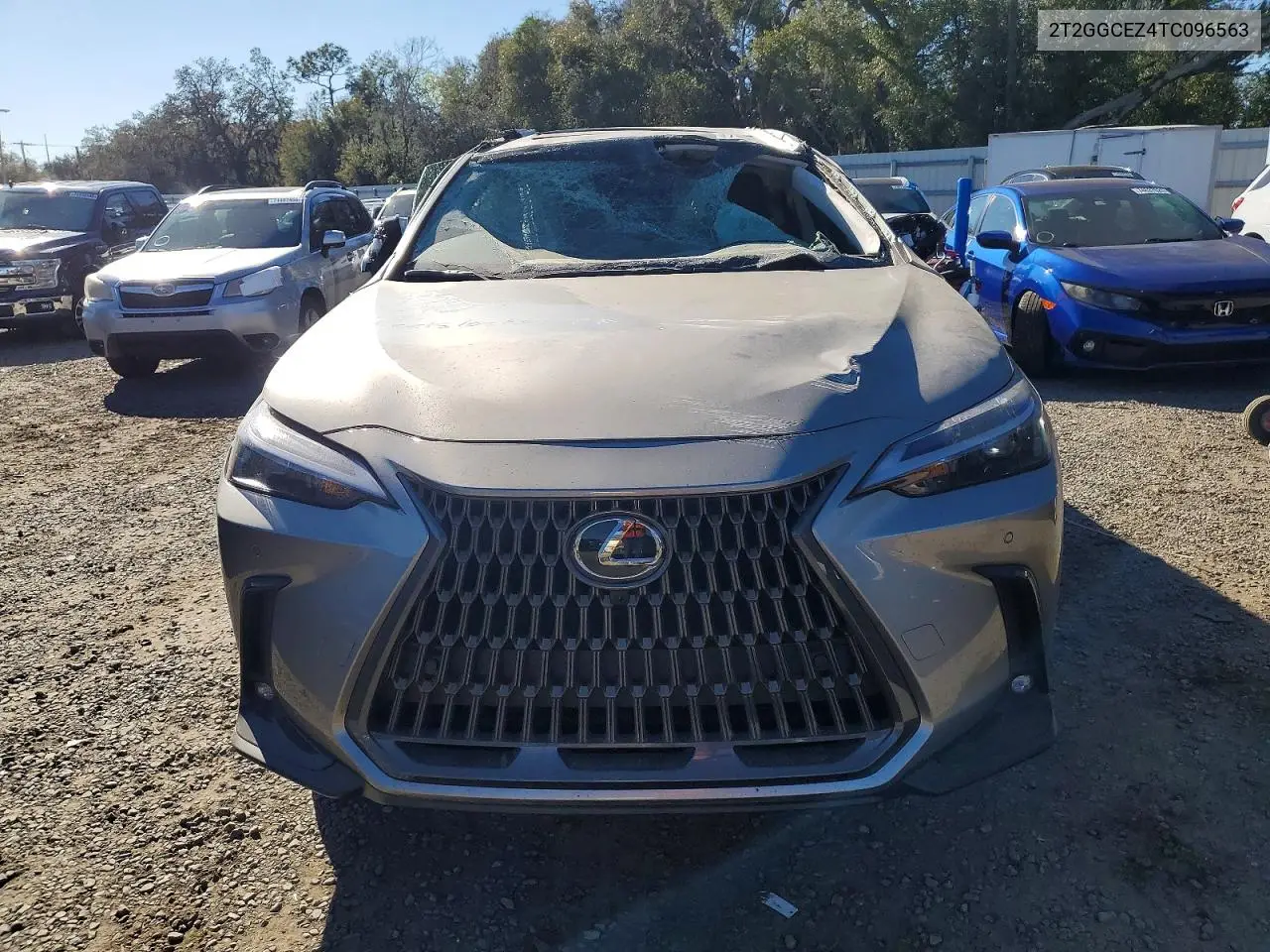Auction sale of the 2026 Lexus NX , vin: 2T2GGCEZ4TC096563, lot number: 74987215