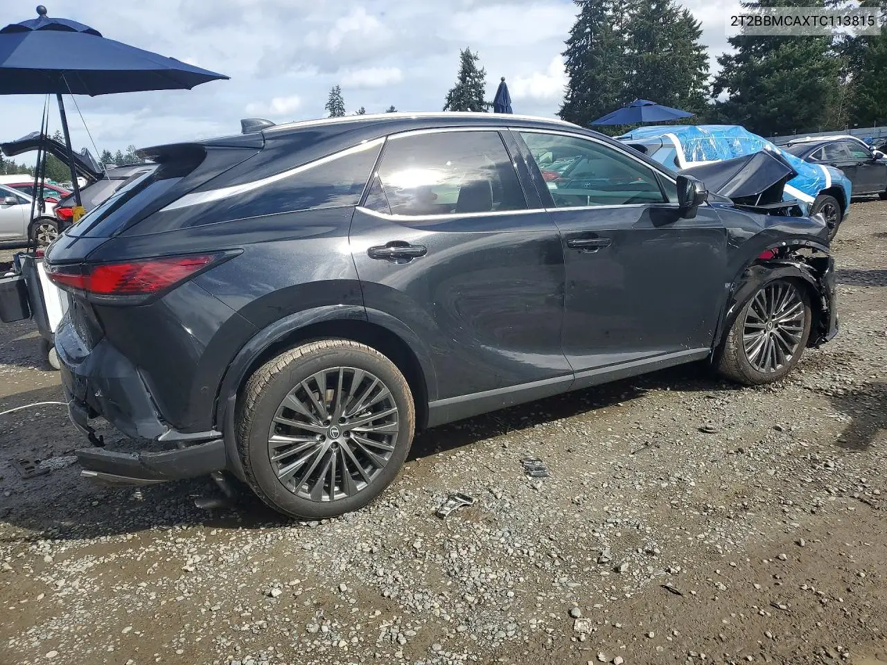 Auction sale of the 2026 Lexus RX , vin: 2T2BBMCAXTC113815, lot number: 47352766