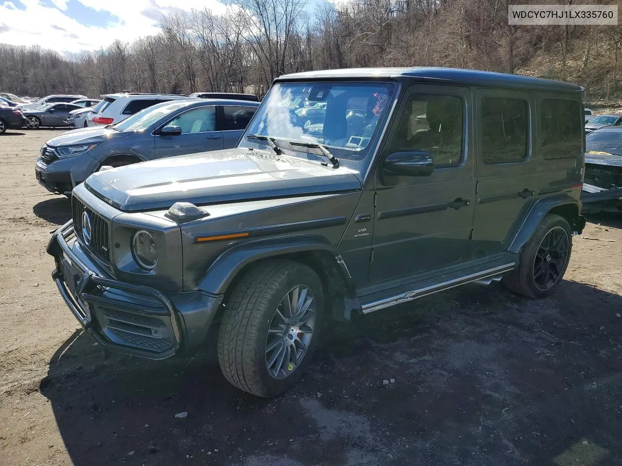 Auction sale of the 2020 Mercedes Benz G klasse , vin: WDCYC7HJ1LX335760, lot number: 46023736