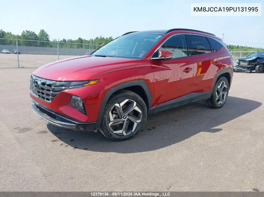 Auction sale of the 2023 Hyundai Tucson , vin: KM8JCCA19PU131995, lot number: 12379136