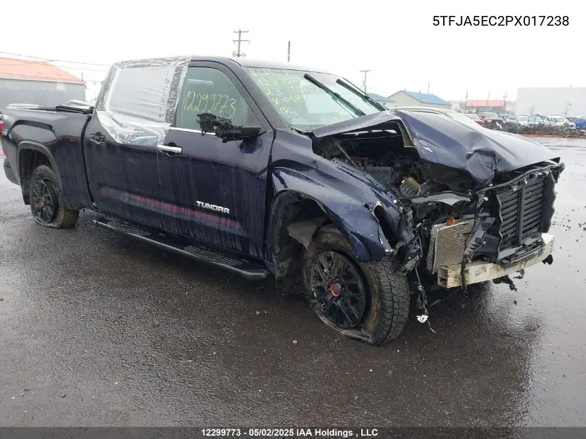 Auction sale of the 2023 Toyota Tundra , vin: 5TFJA5EC2PX017238, lot number: 12299773
